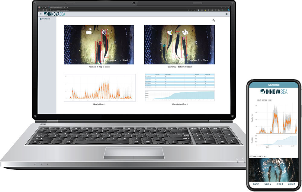 Laptop and smartphone displaying InnovaSea dashboard with underwater camera footage and data charts for aquaculture monitoring.
