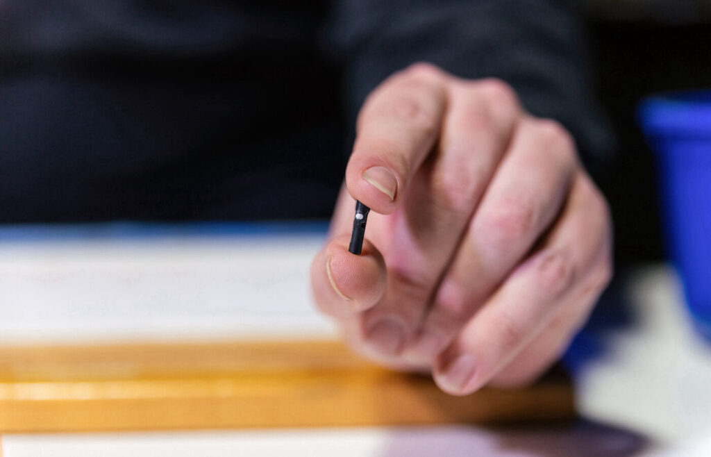 acoustic tag predation