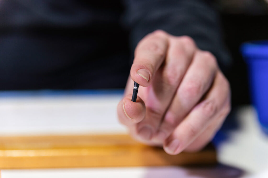 A hand holds a small predation tag between thumb and forefinger against a blurred computer screen background.
