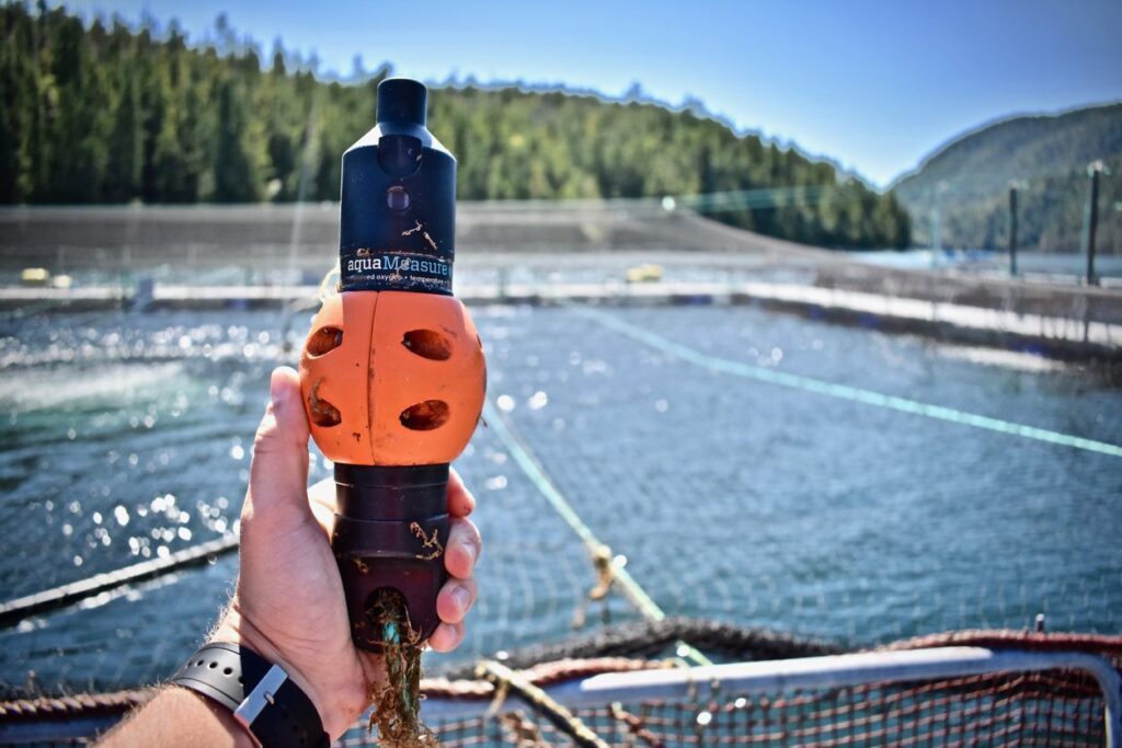 Hand holding an aqua measurement device over a swimming pool with mountains and blue sky in the background.
