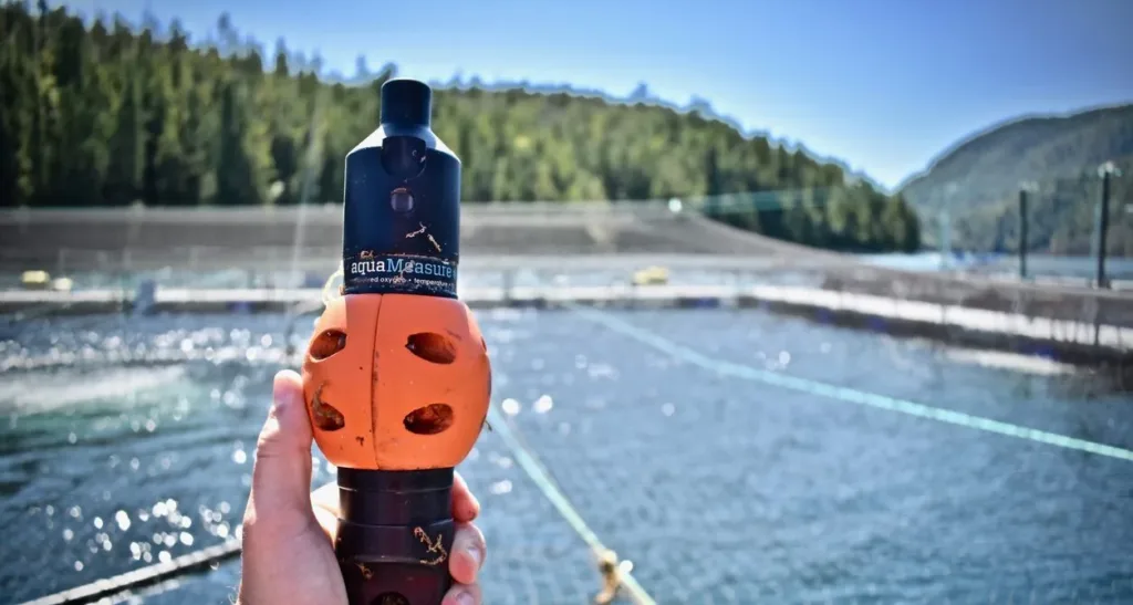 Hand holding an aqua measurement device over a swimming pool with mountains and blue sky in the background.