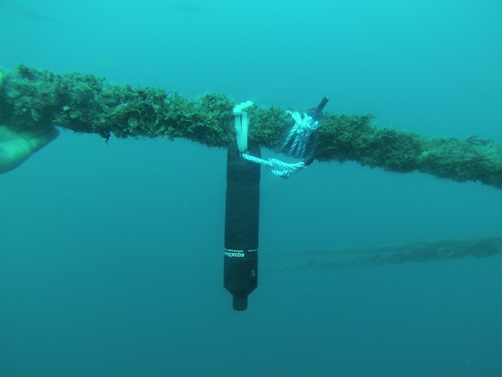 Underwater view of an aquaMeasure sensor suspended from a rope covered in marine growth, used for ocean research or monitoring.