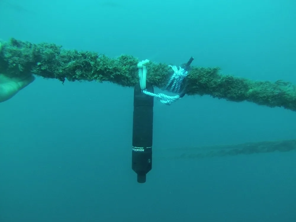 Underwater view of an aquaMeasure sensor suspended from a rope covered in marine growth, used for ocean research or monitoring.