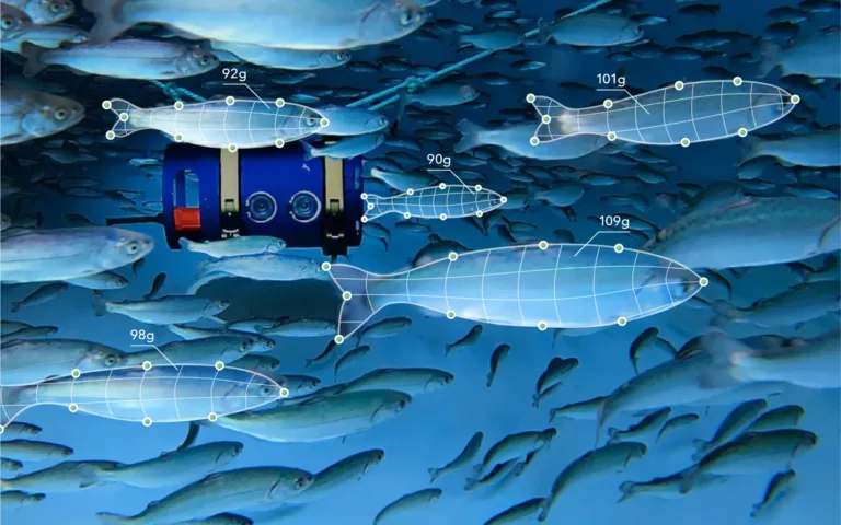 Underwater robot with cameras analyzes fish in a school, displaying wireframe overlays and weight measurements (90g-109g) on selected fish.