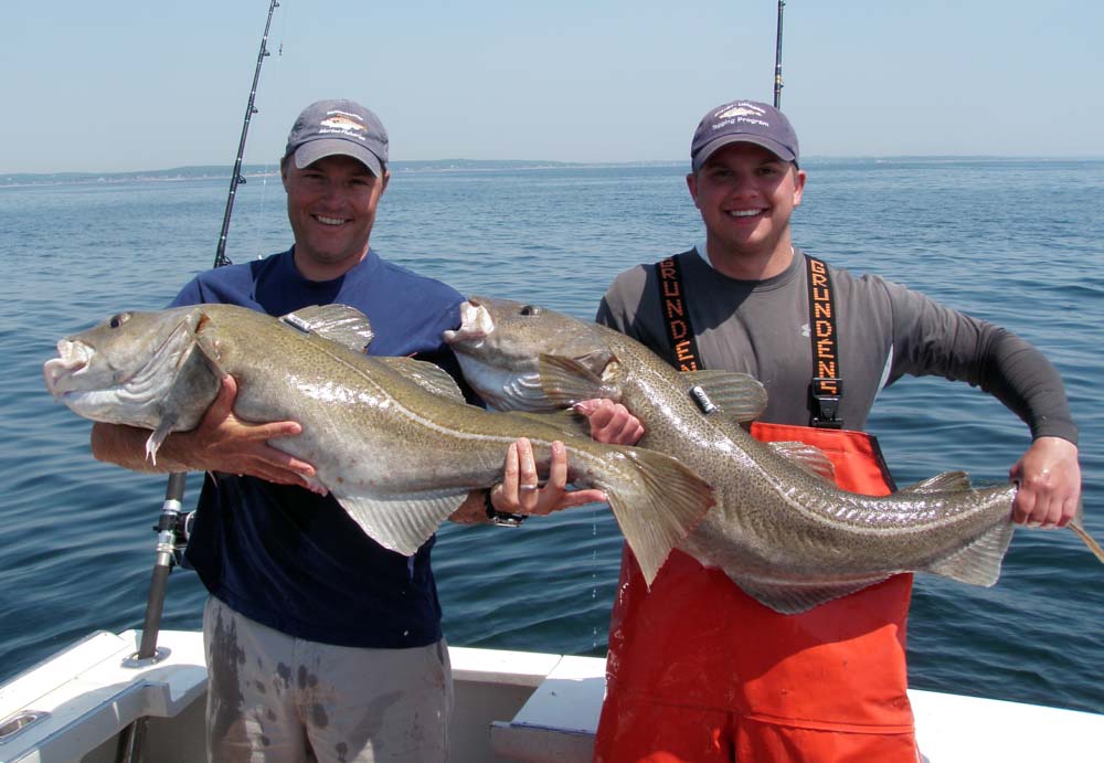 Answers to key questions