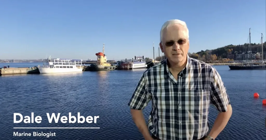 Dale Webber, Marine Biologist, stands by a harbor with boats and clear blue water in the background.