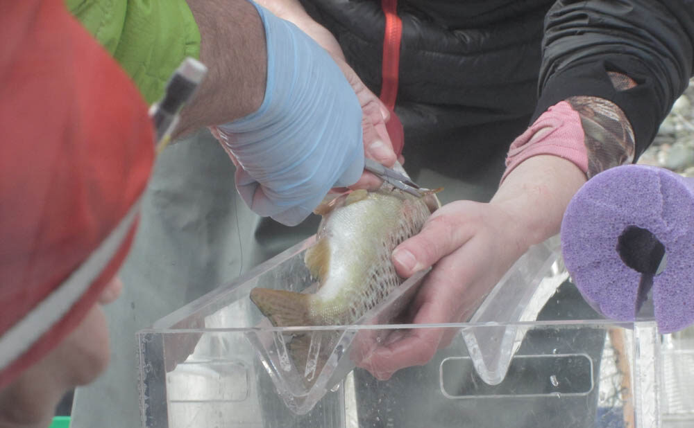 Vital information to aid in sustainability