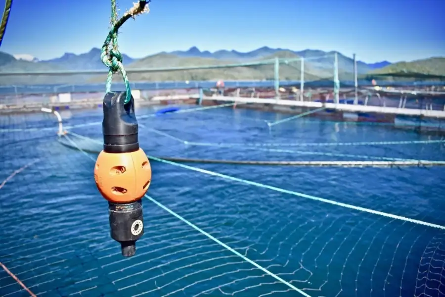A marine sensor device suspended by rope over blue ocean water near aquaculture fish farming pens with mountains in the background.