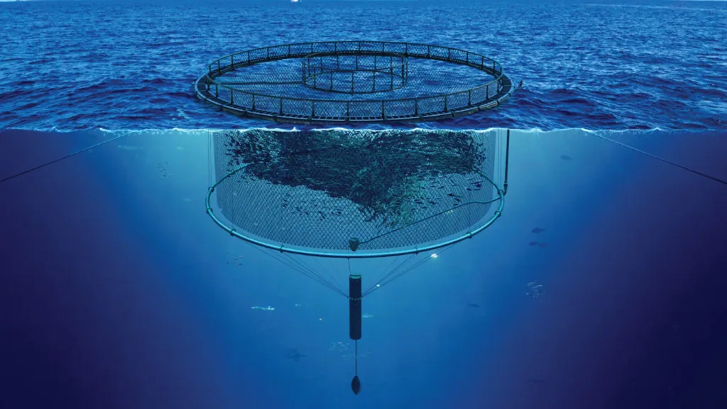 Underwater fish farm with circular net pens extending below the ocean surface, anchored by cables and weights.
