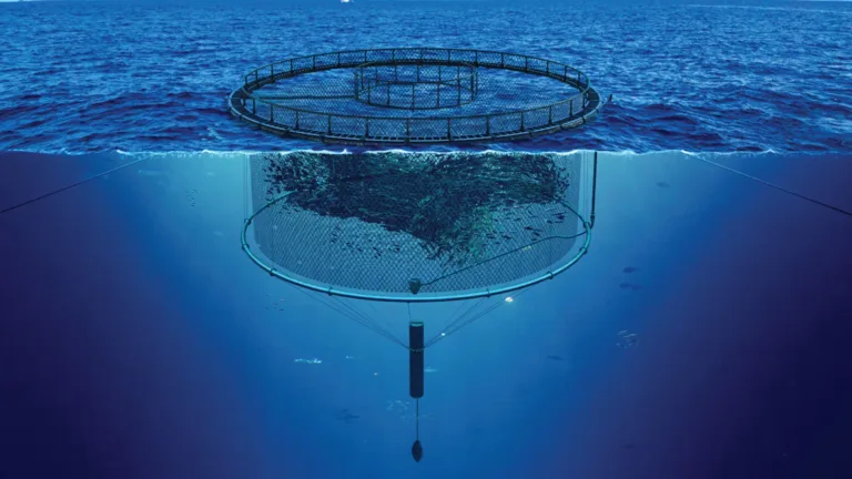 Underwater fish farm with circular net pens extending below the ocean surface, anchored by cables and weights.