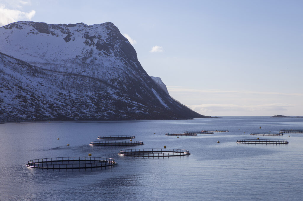 Circular fish farming pens float in calm blue water beneath snow-covered mountains in a fjord landscape.