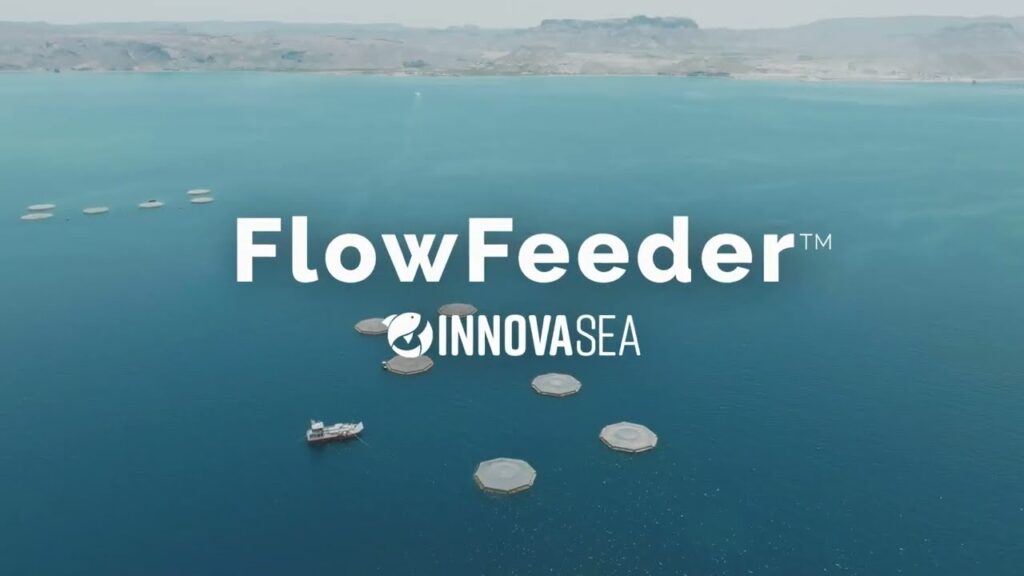 Aerial view of circular aquaculture pens in turquoise water with FlowFeeder and InnovaSea logos overlaid.